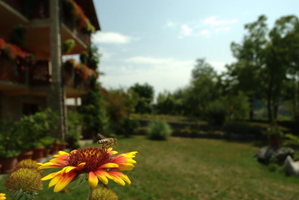 Guest House Nena Rastoke Slunj Zewnętrze zdjęcie